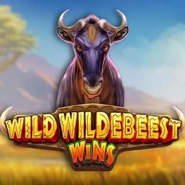 Play the Wild Wildebeest Wins slot by Pragmatic Play on Slotoro Casino